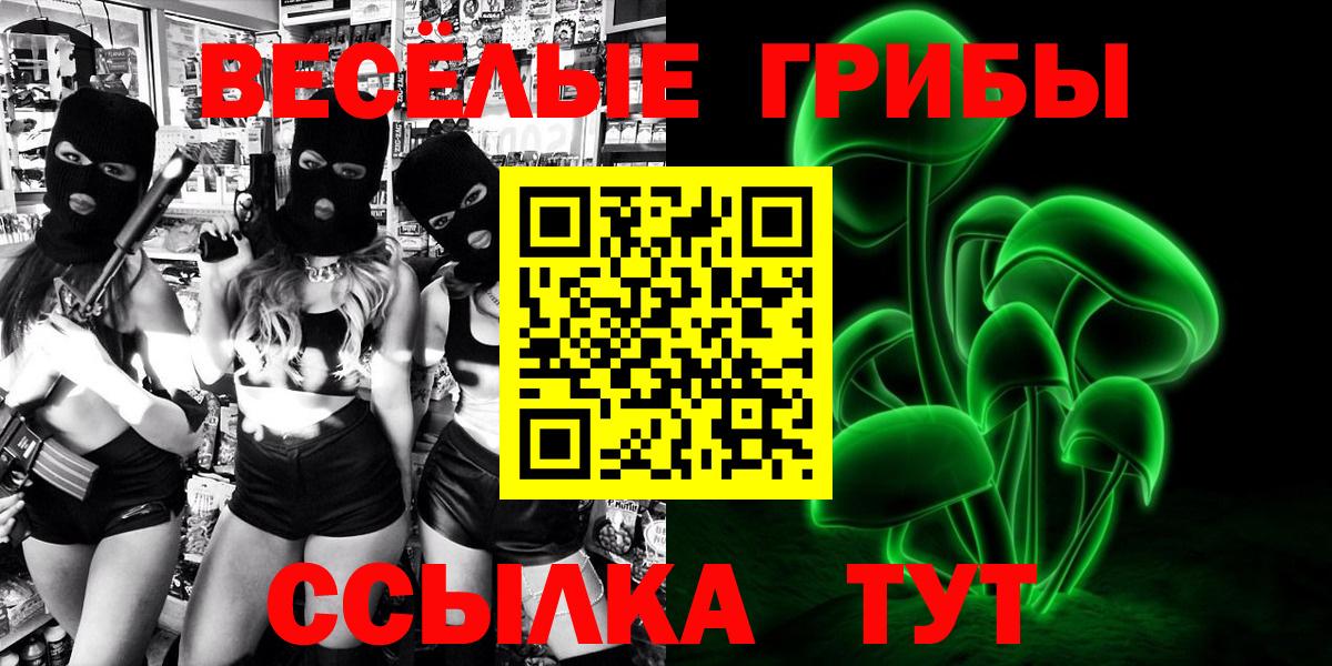 Галлюциногенные грибы Psilocybe Заринск